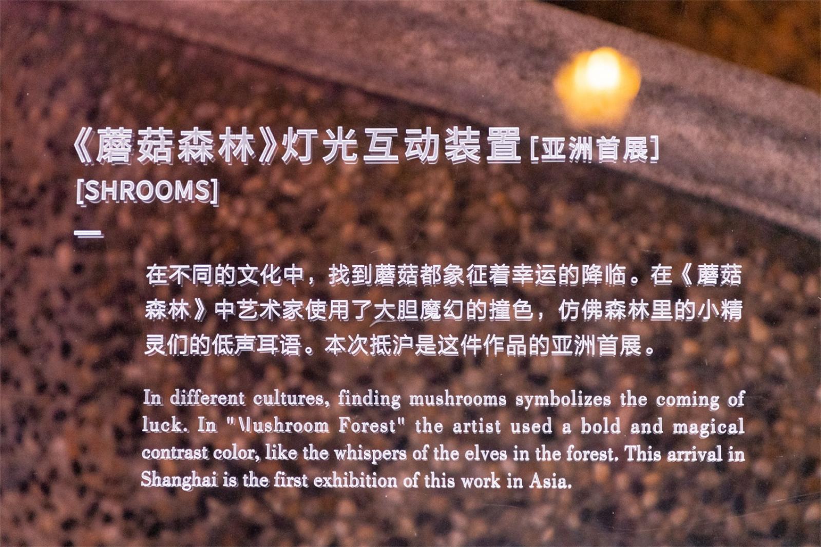 思南路灯光秀