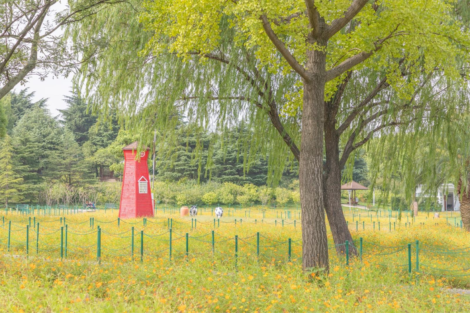 大宁公园