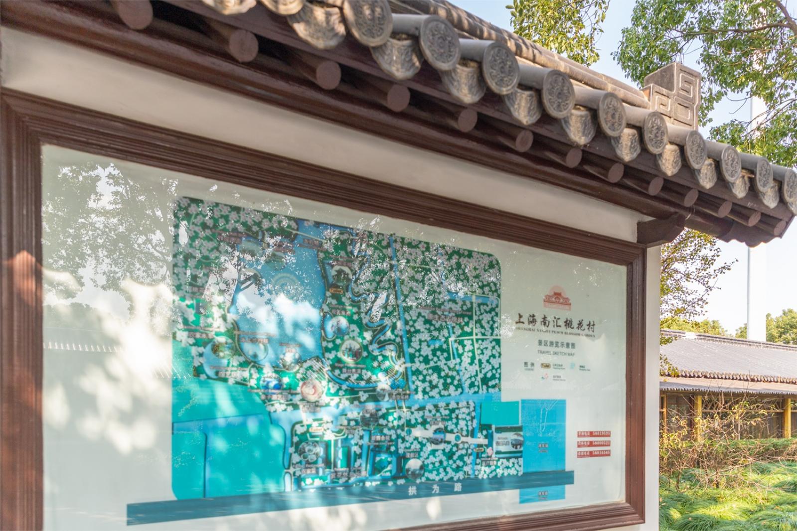 南汇桃花村