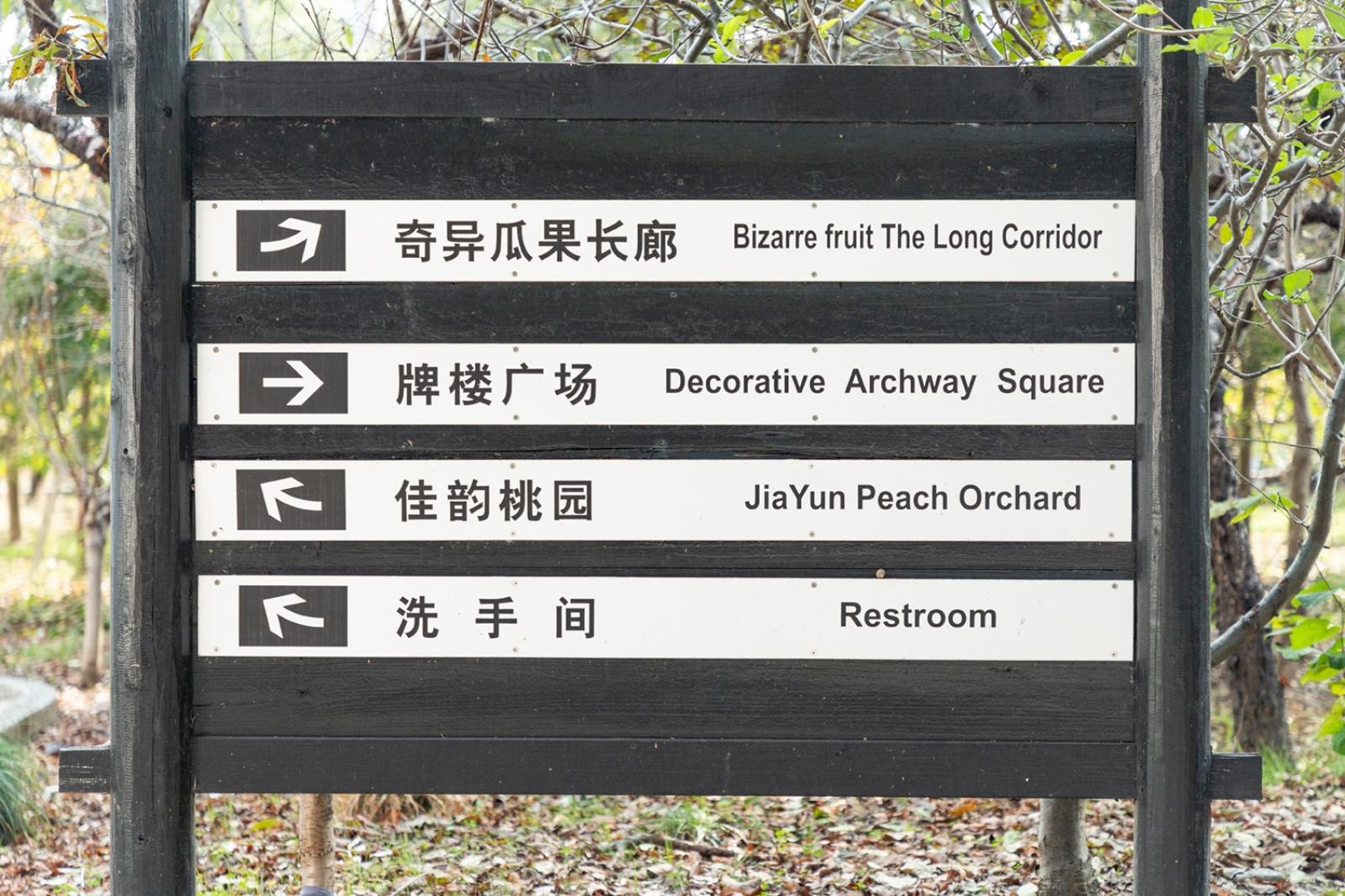 南汇桃花村