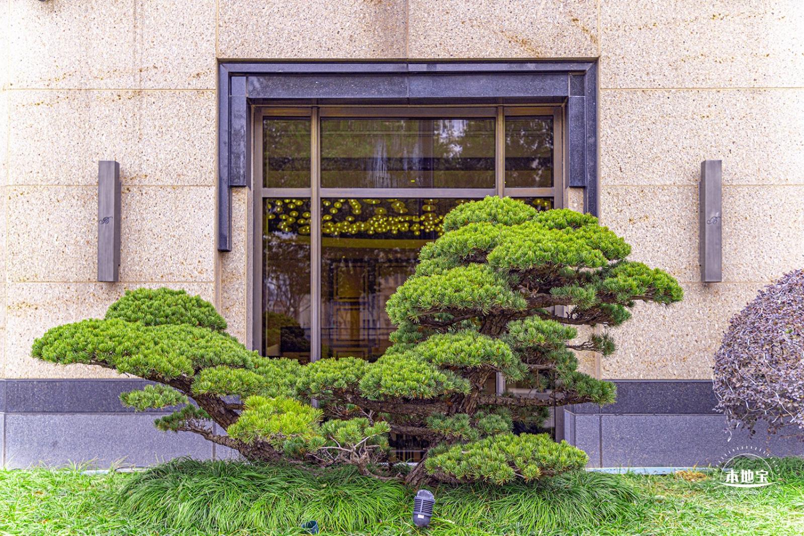 北苏州路滨河岸线
