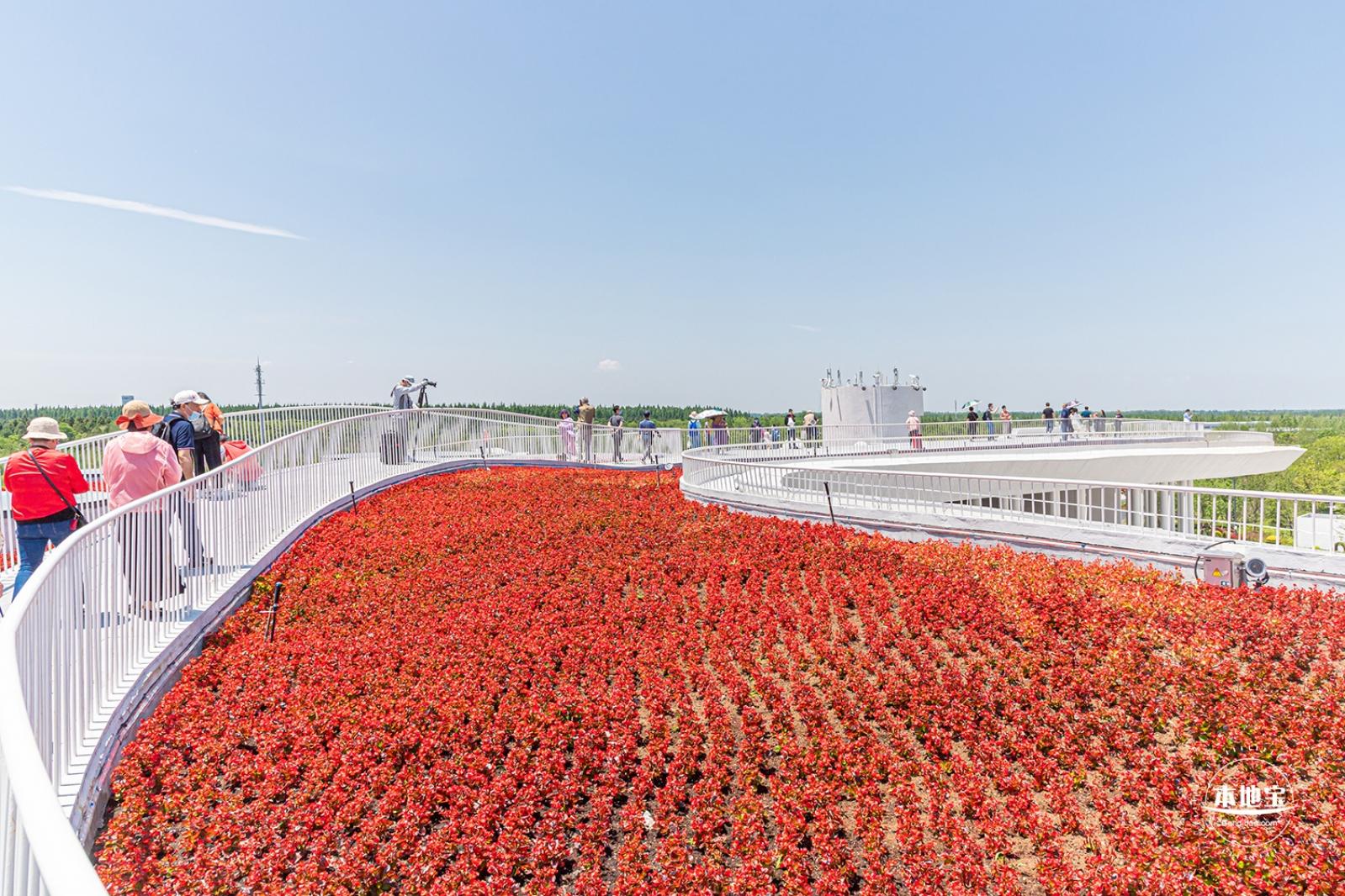 花卉博览会