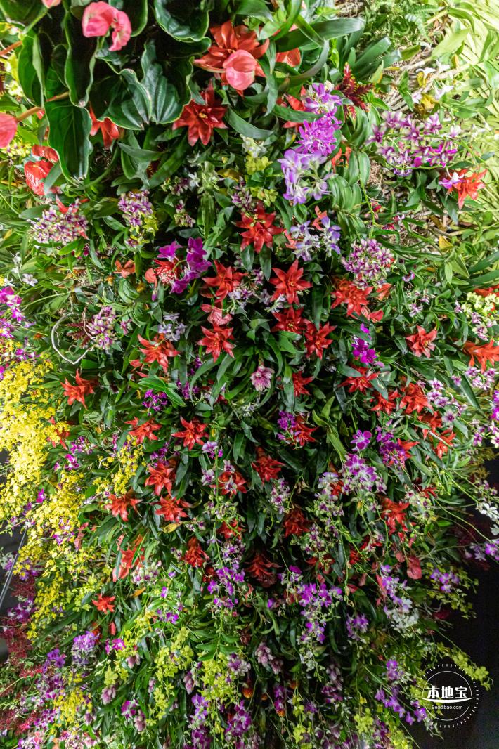 花卉博览会