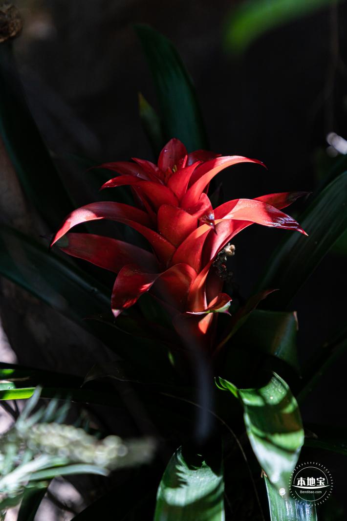 花卉博览会