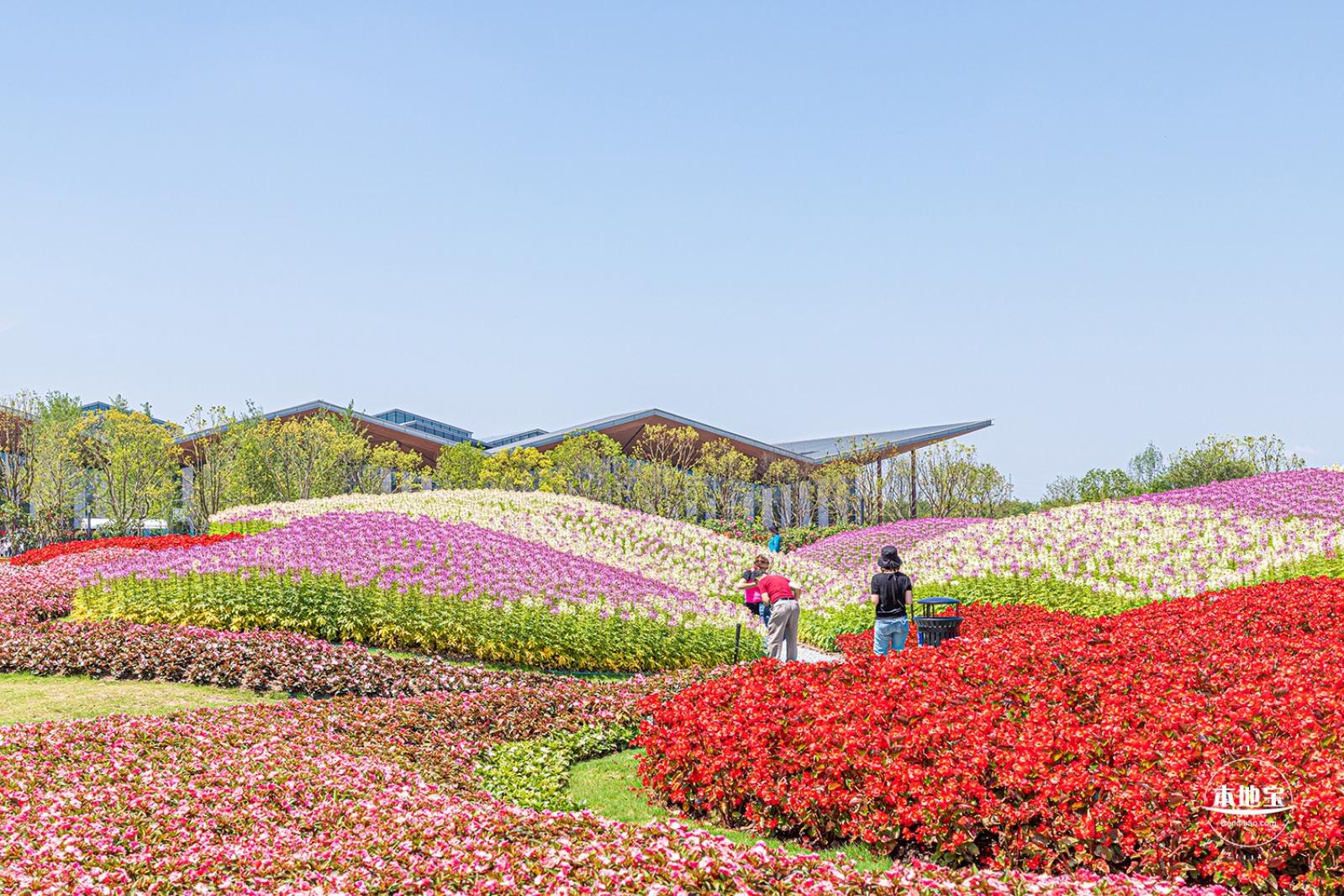 花卉博览会