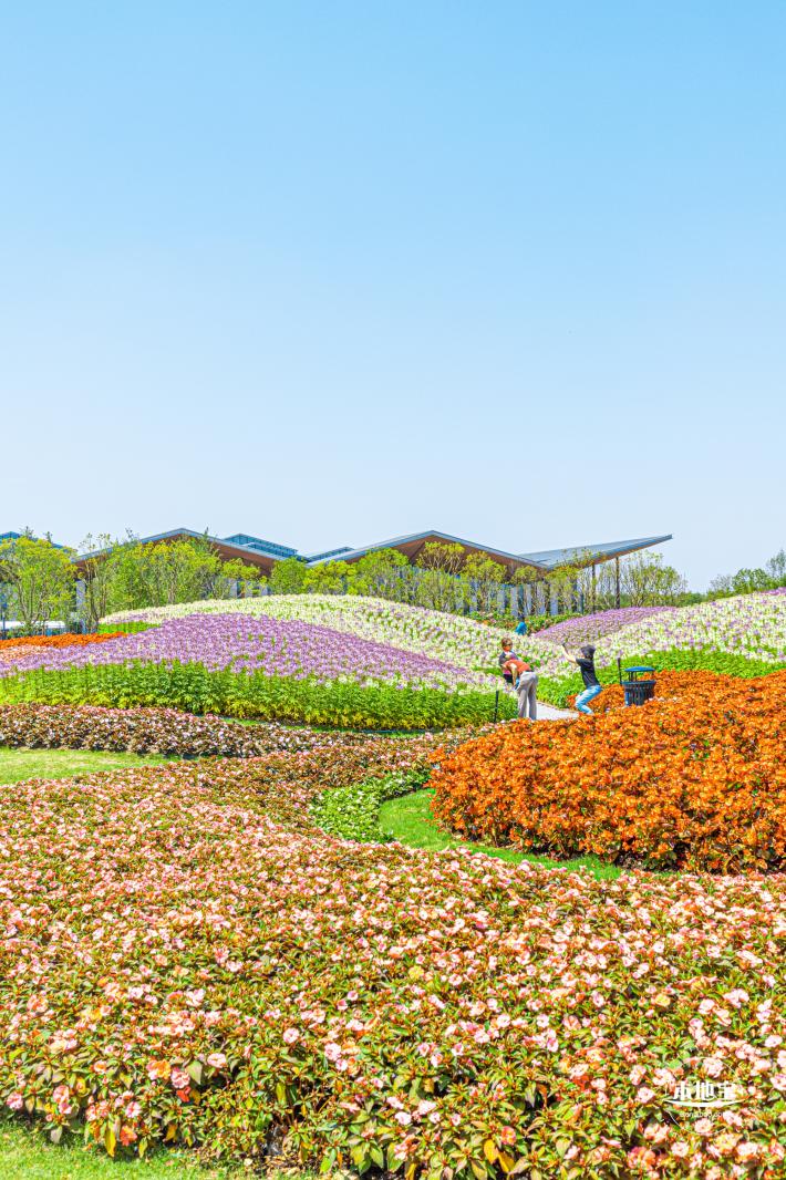 花卉博览会