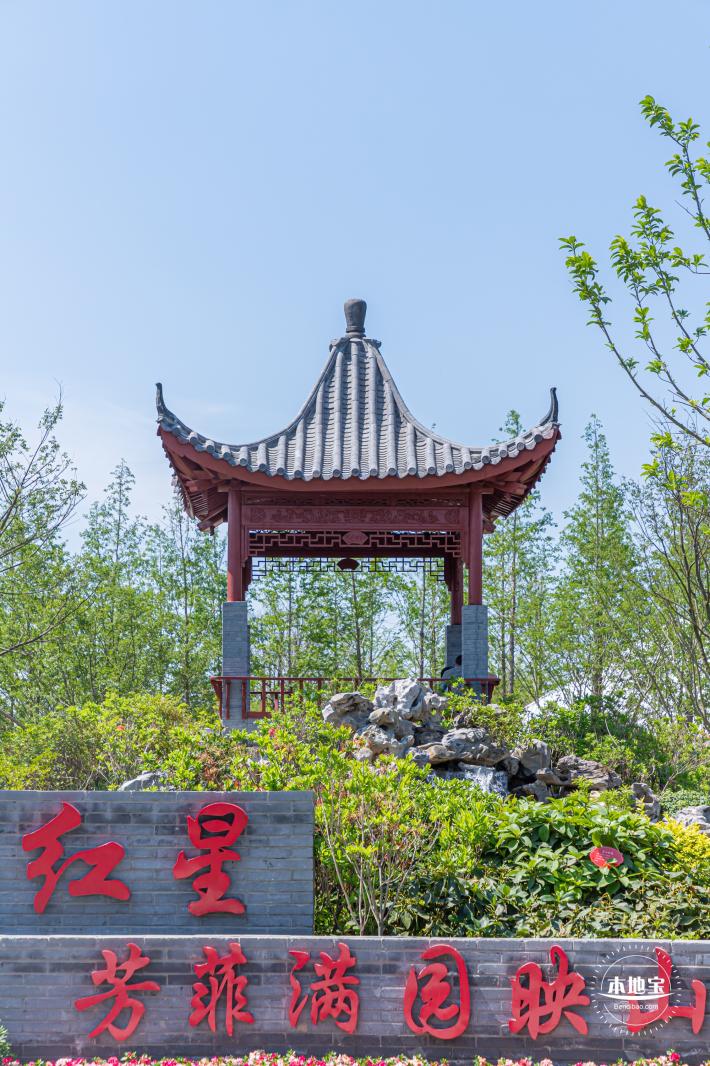 花卉博览会