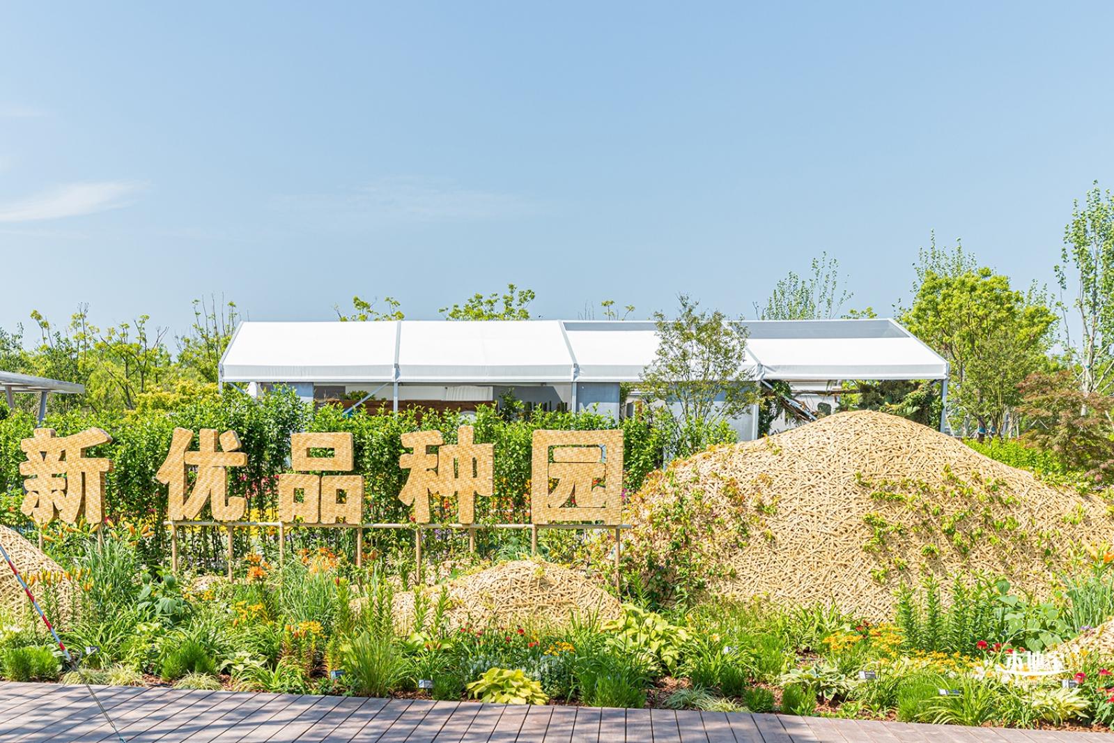 花卉博览会