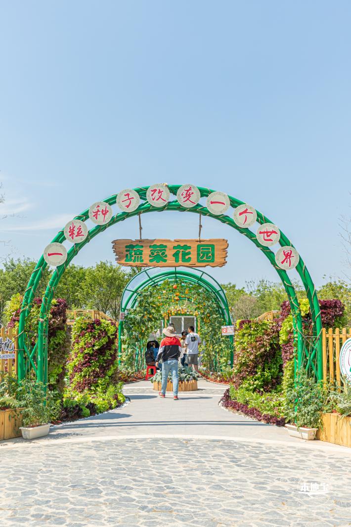 花卉博览会
