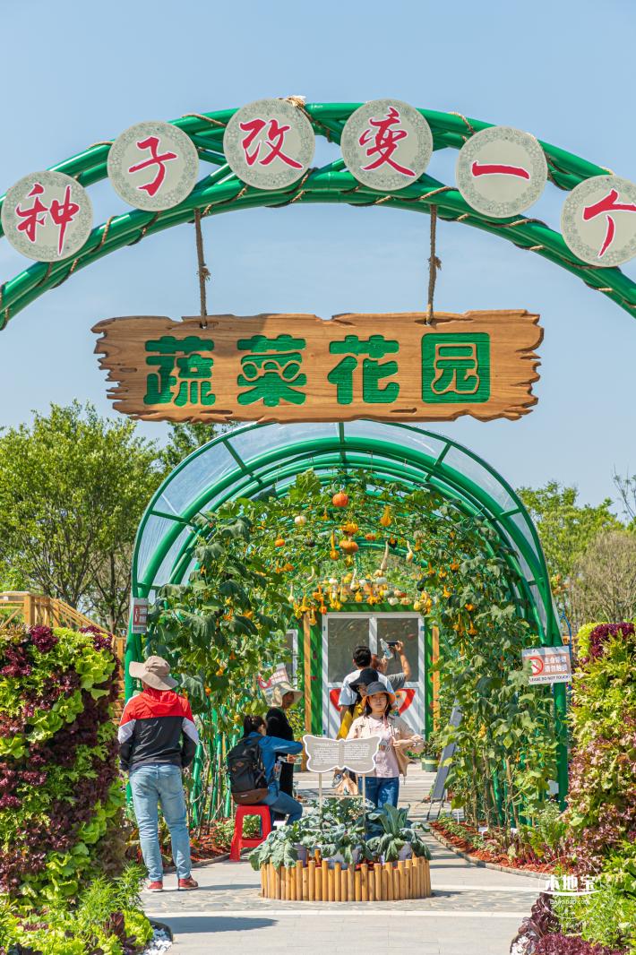 花卉博览会