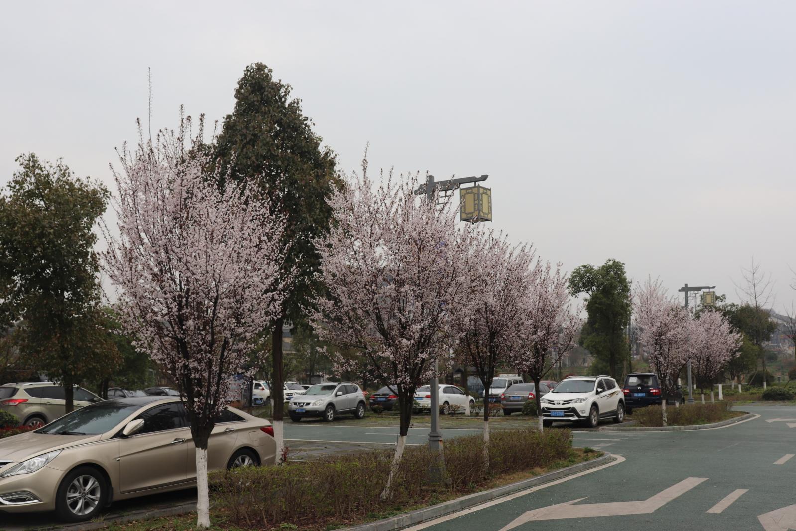 贵阳青岩古镇