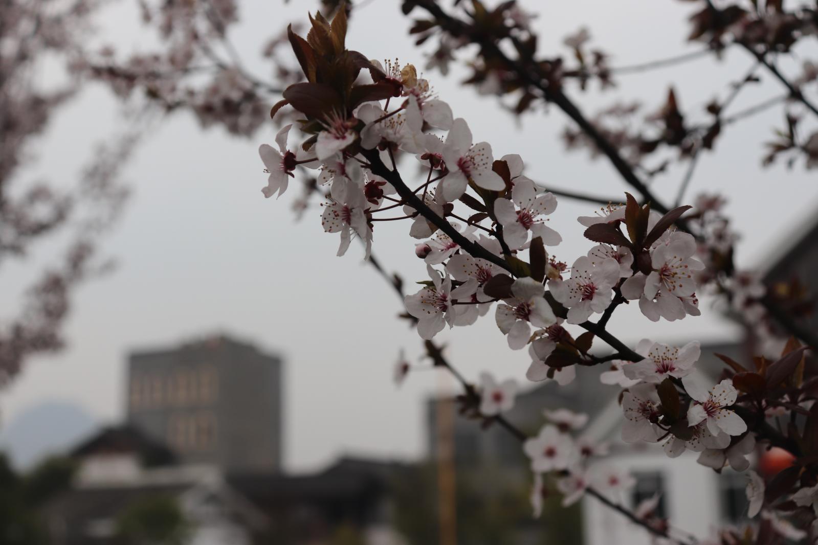 贵阳青岩古镇