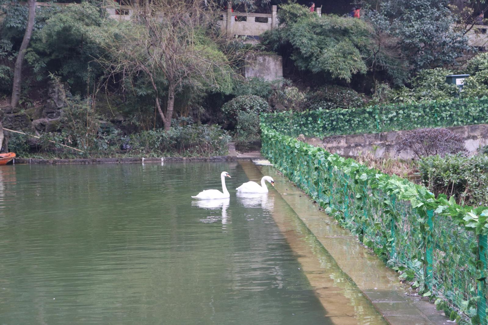 贵阳黔灵山公园