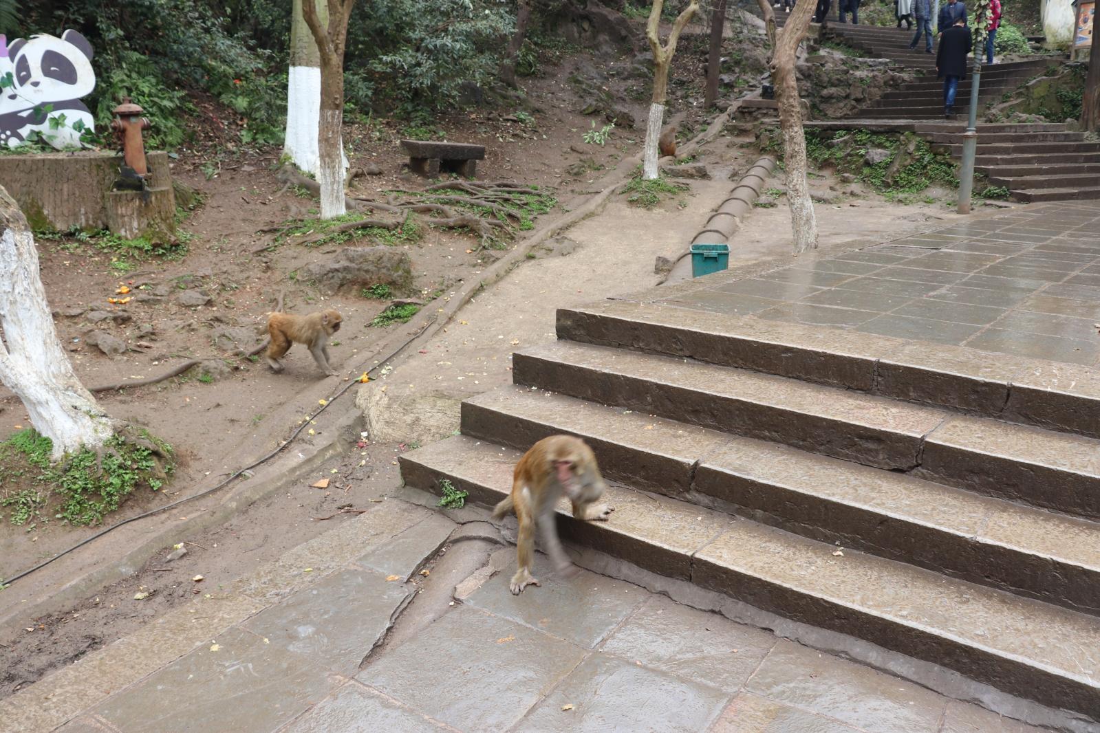 贵阳黔灵山公园