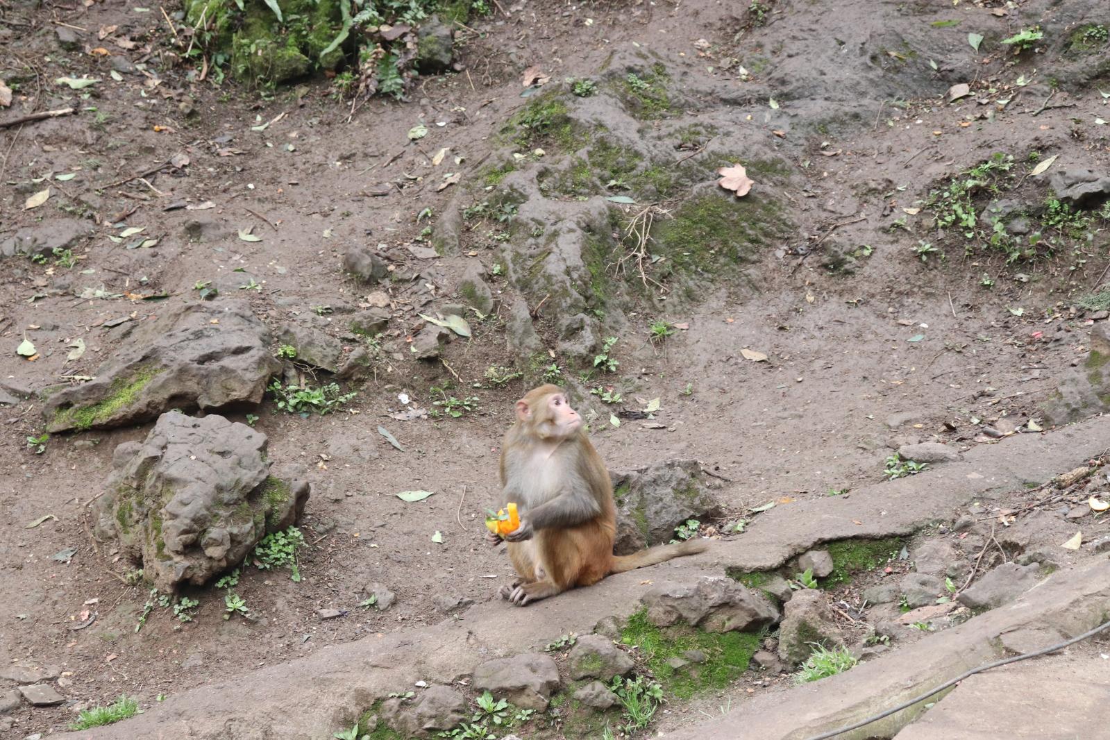 贵阳黔灵山公园