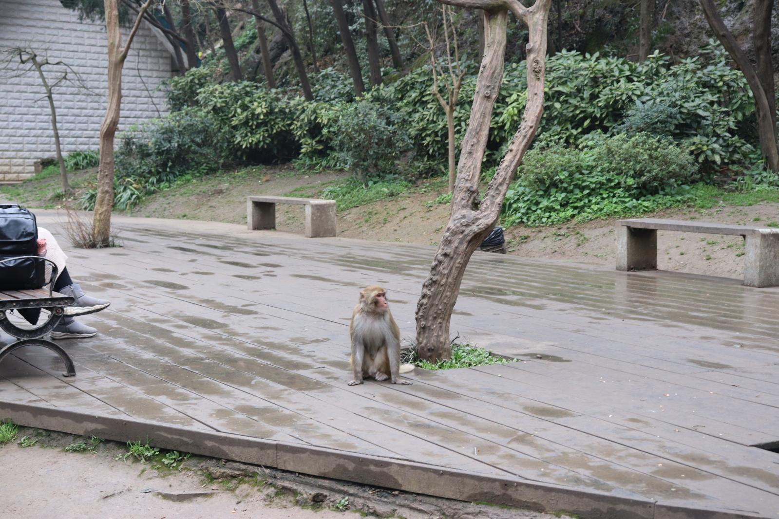 贵阳黔灵山公园
