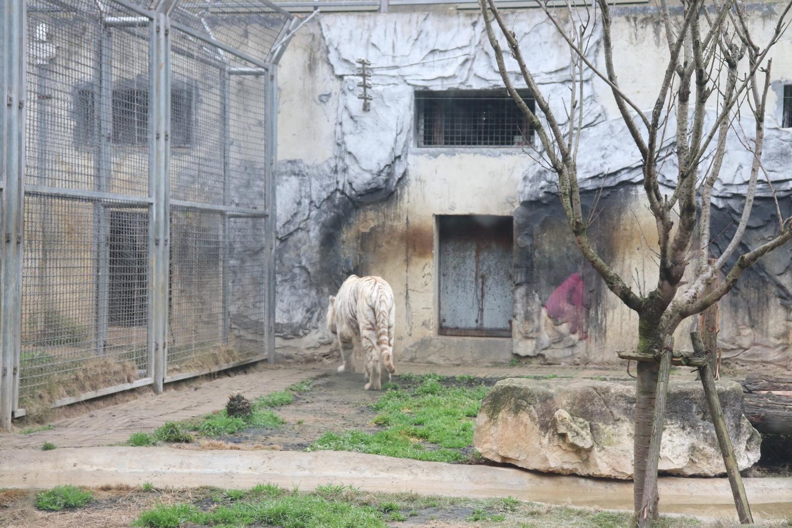 贵阳黔灵山公园