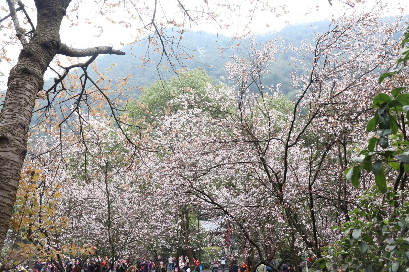 贵阳黔灵山公园