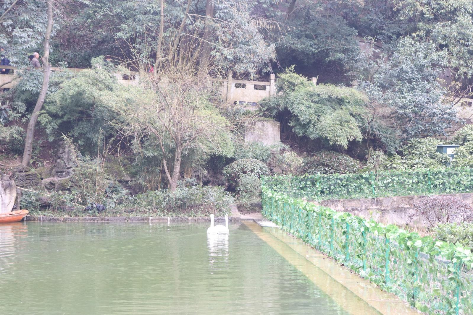 贵阳黔灵山公园