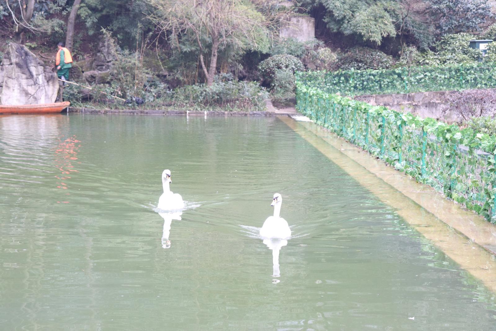 贵阳黔灵山公园