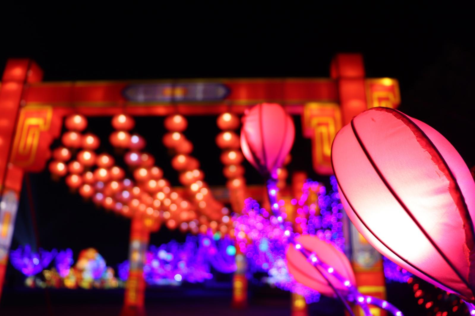 杭州江月园国际灯会