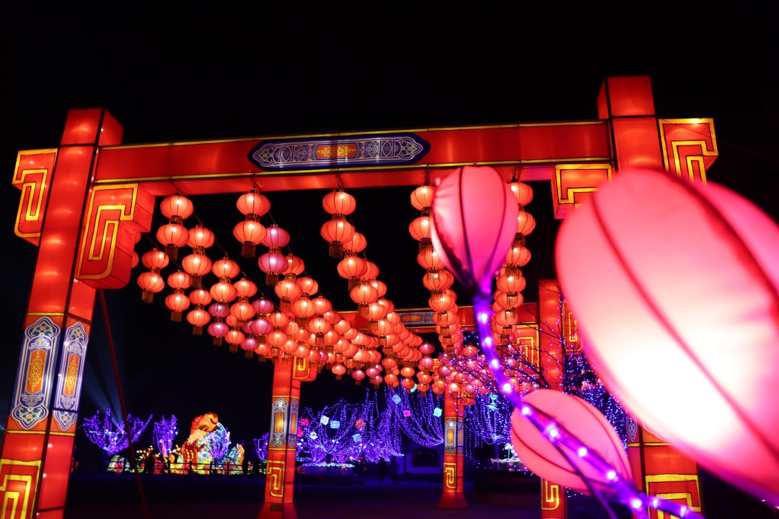 杭州江月园国际灯会