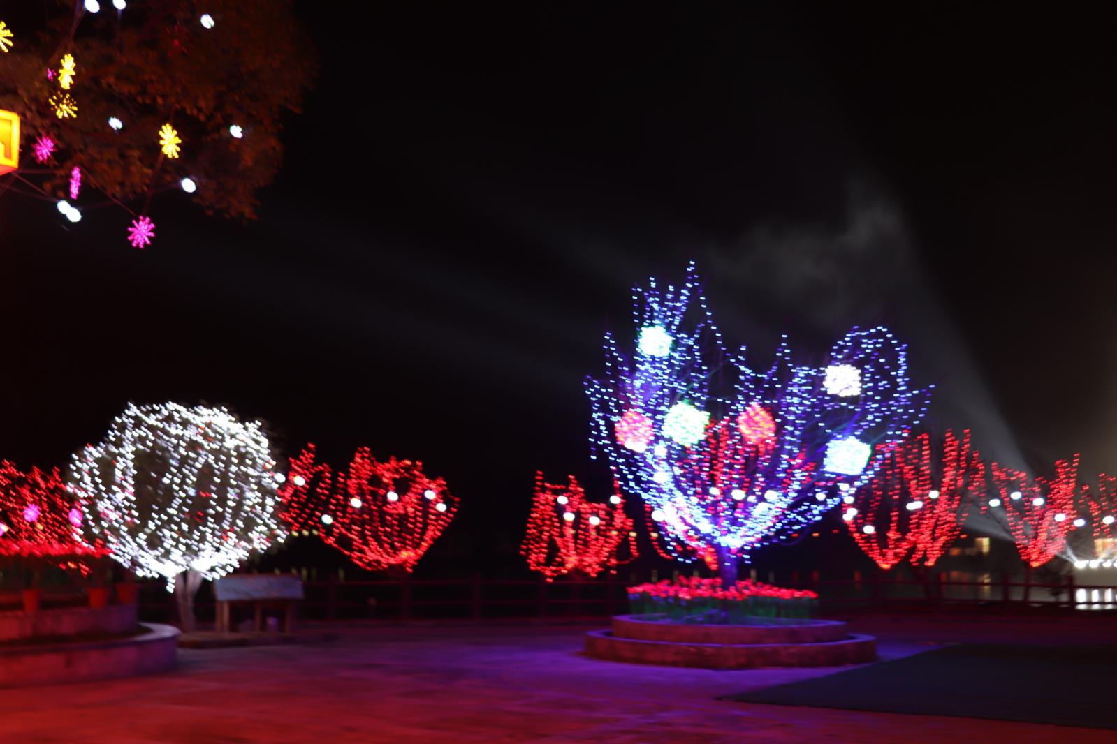 杭州江月园国际灯会