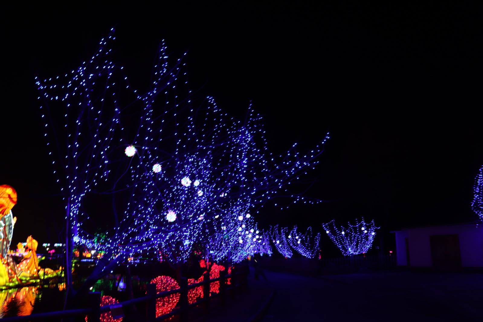 杭州江月园国际灯会