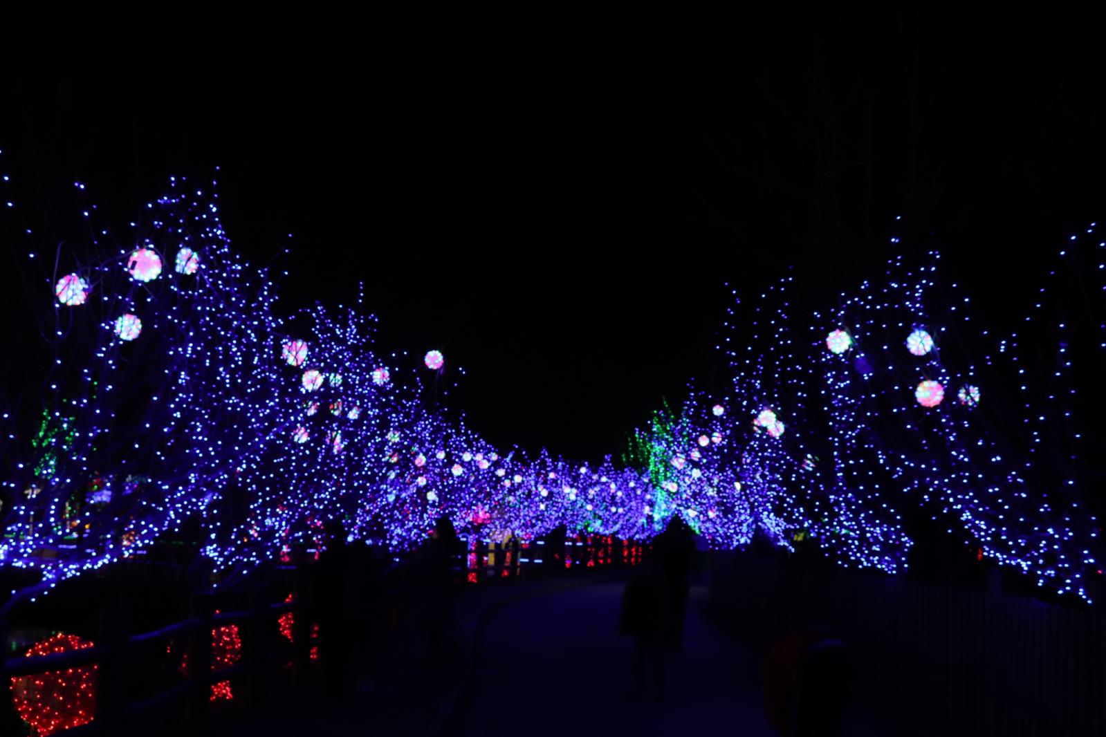 杭州江月园国际灯会