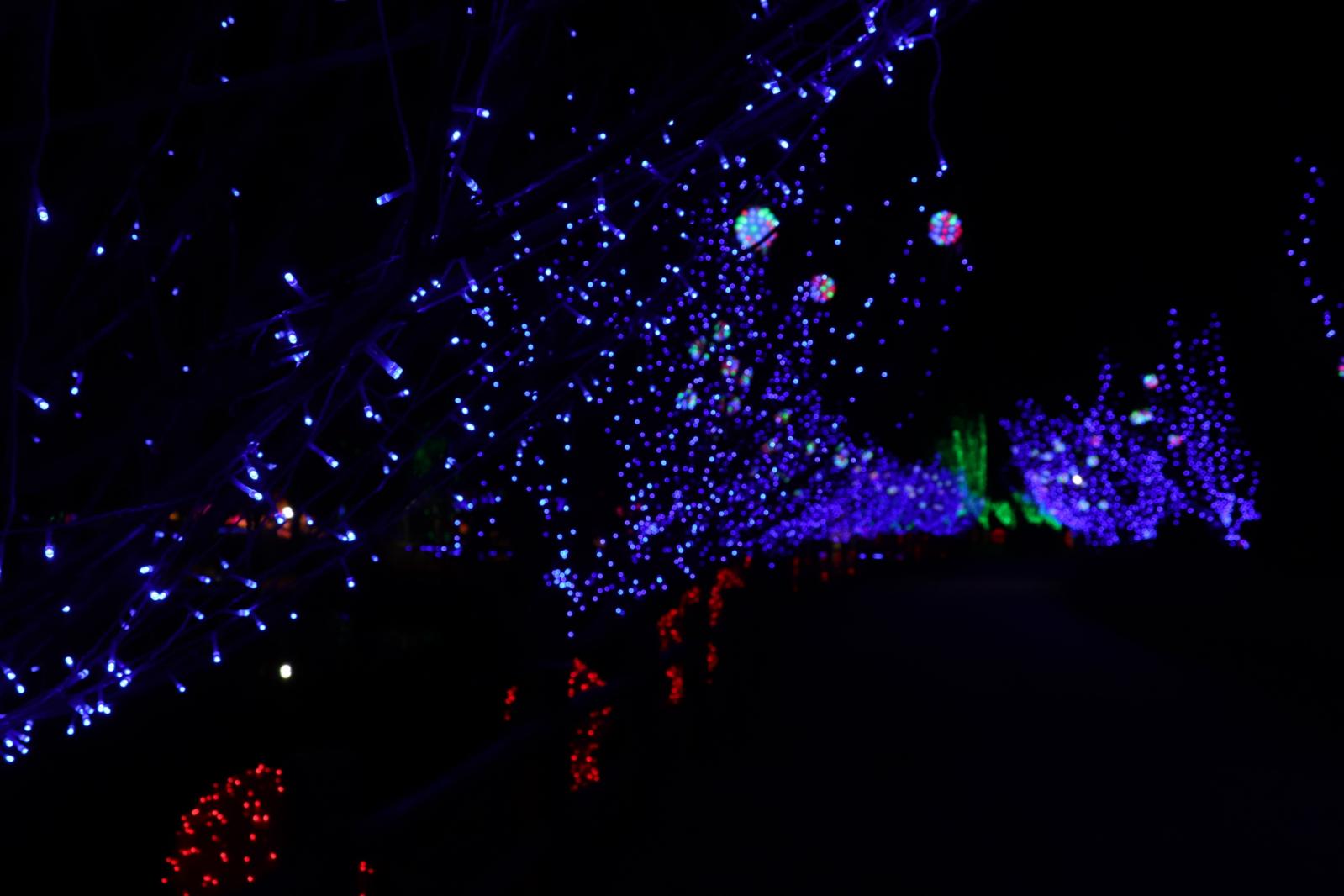 杭州江月园国际灯会