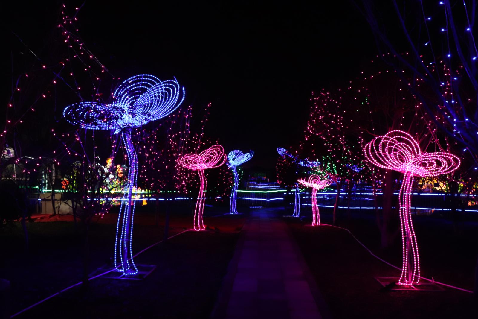 杭州江月园国际灯会