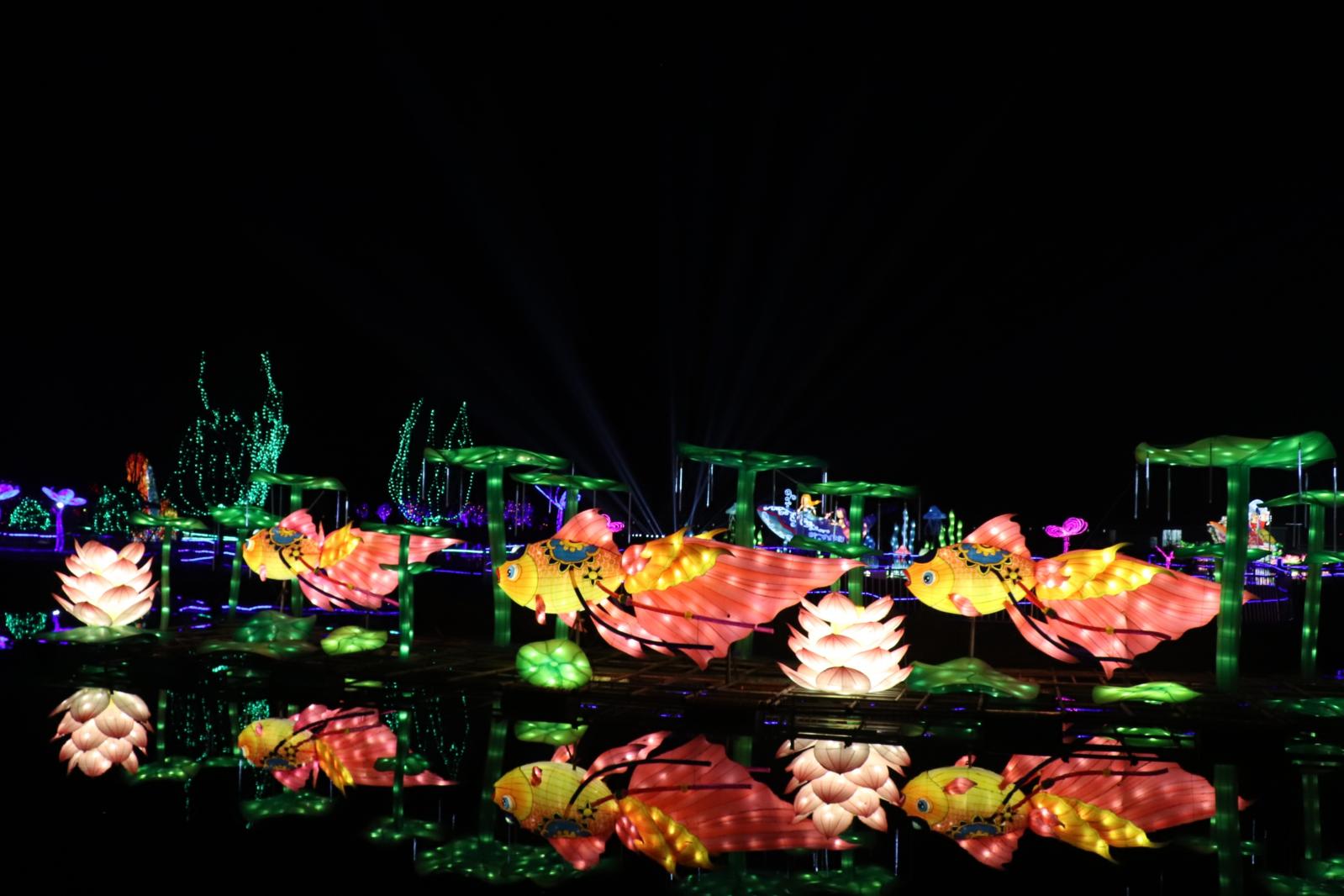 杭州江月园国际灯会