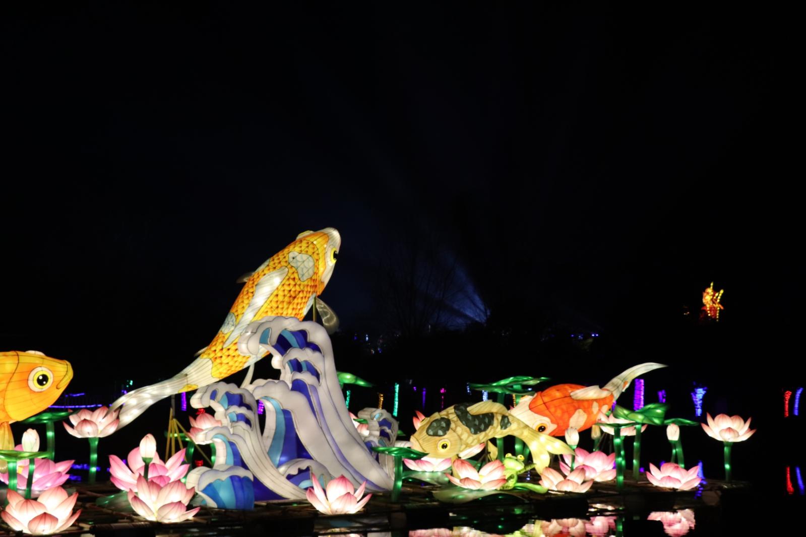 杭州江月园国际灯会