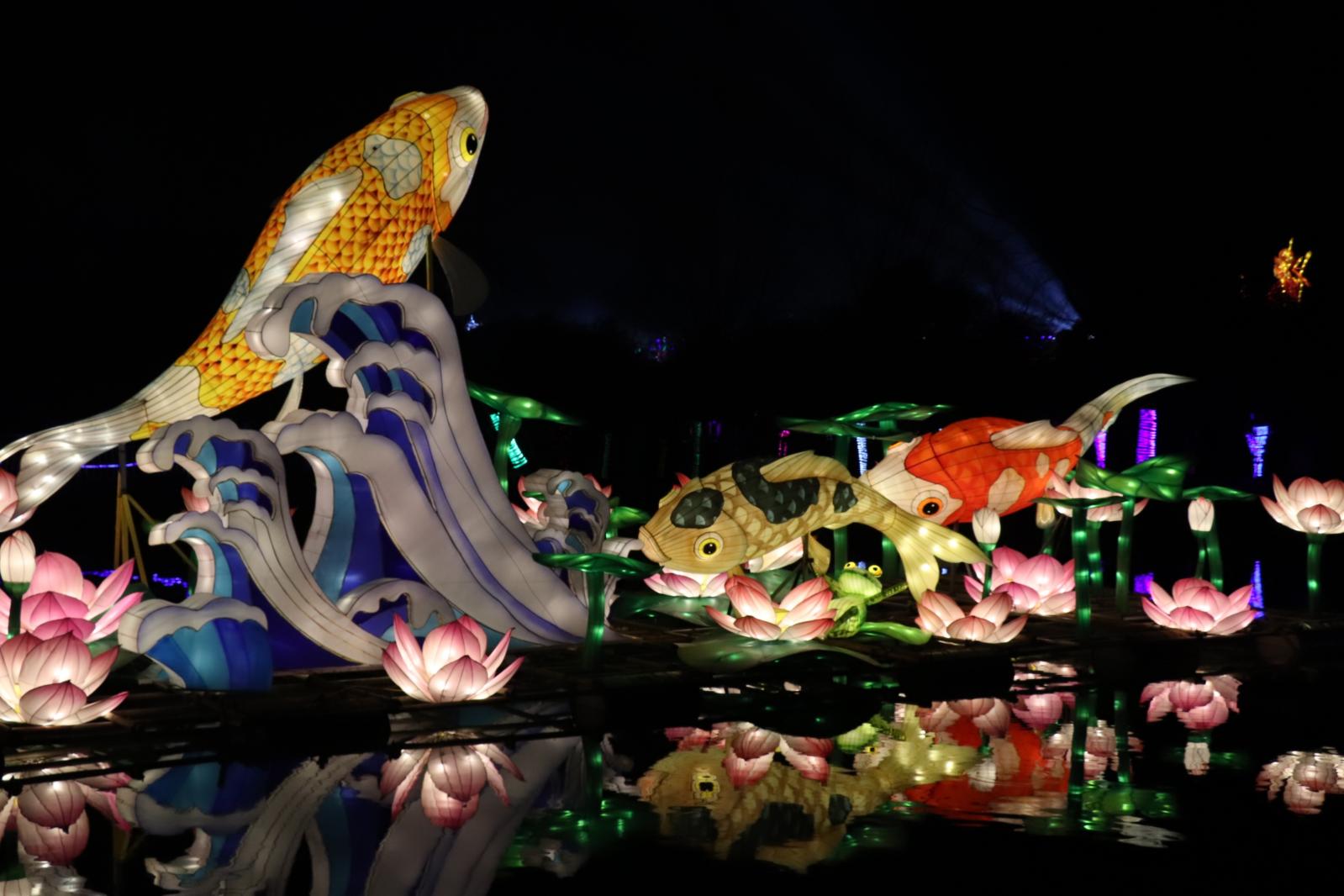 杭州江月园国际灯会