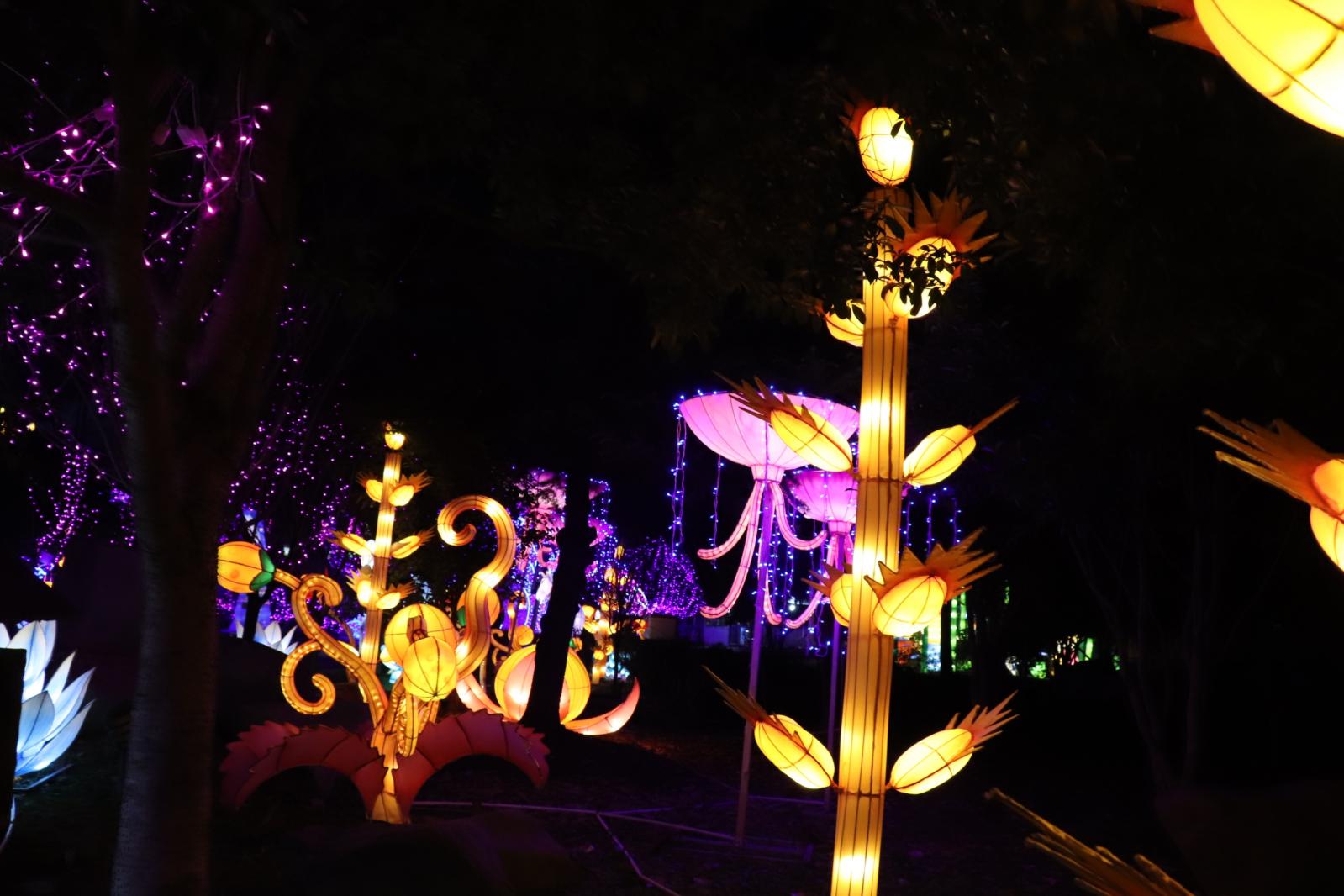 杭州江月园国际灯会