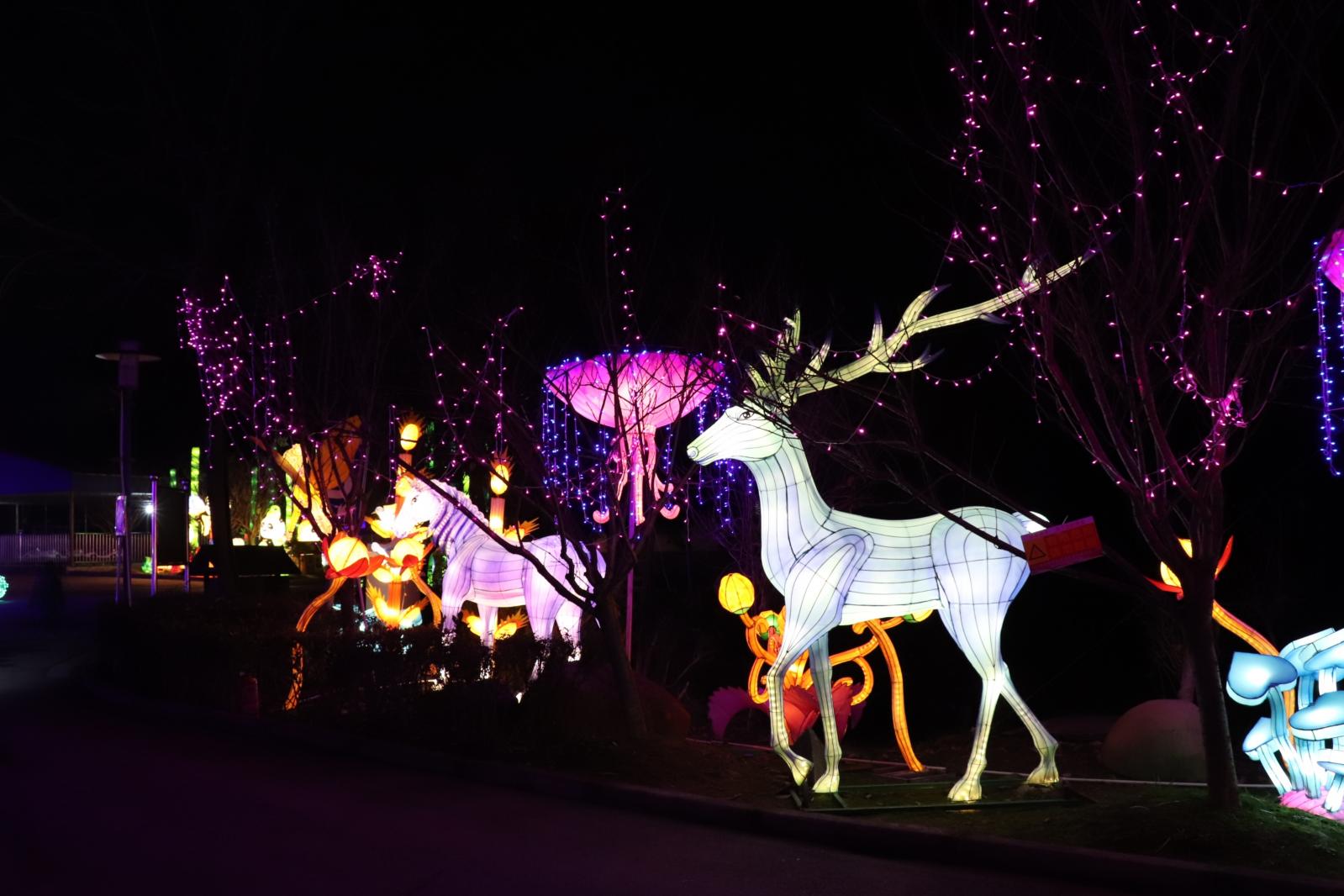 杭州江月园国际灯会