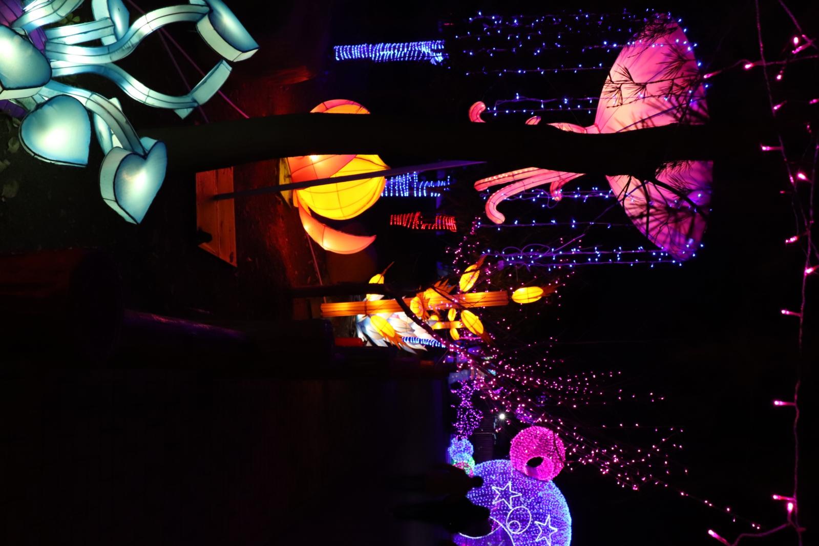 杭州江月园国际灯会