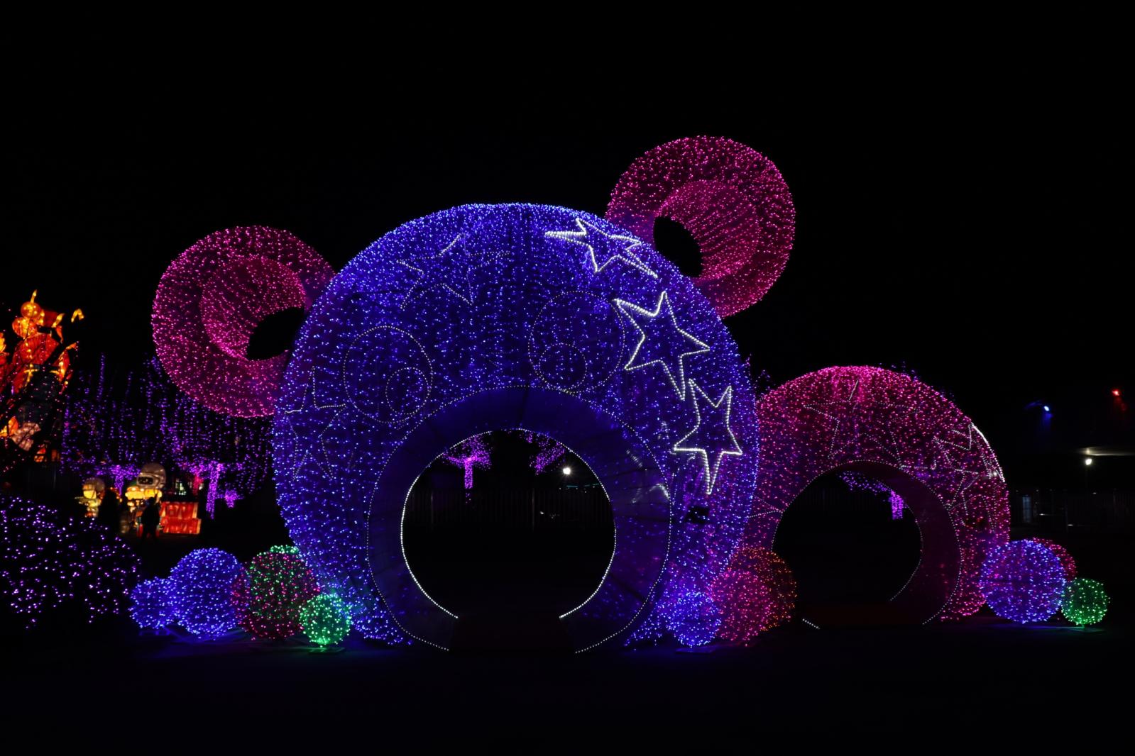 杭州江月园国际灯会