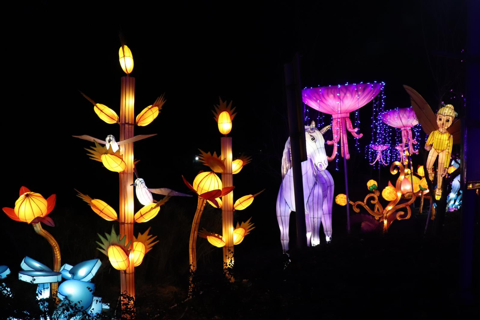 杭州江月园国际灯会