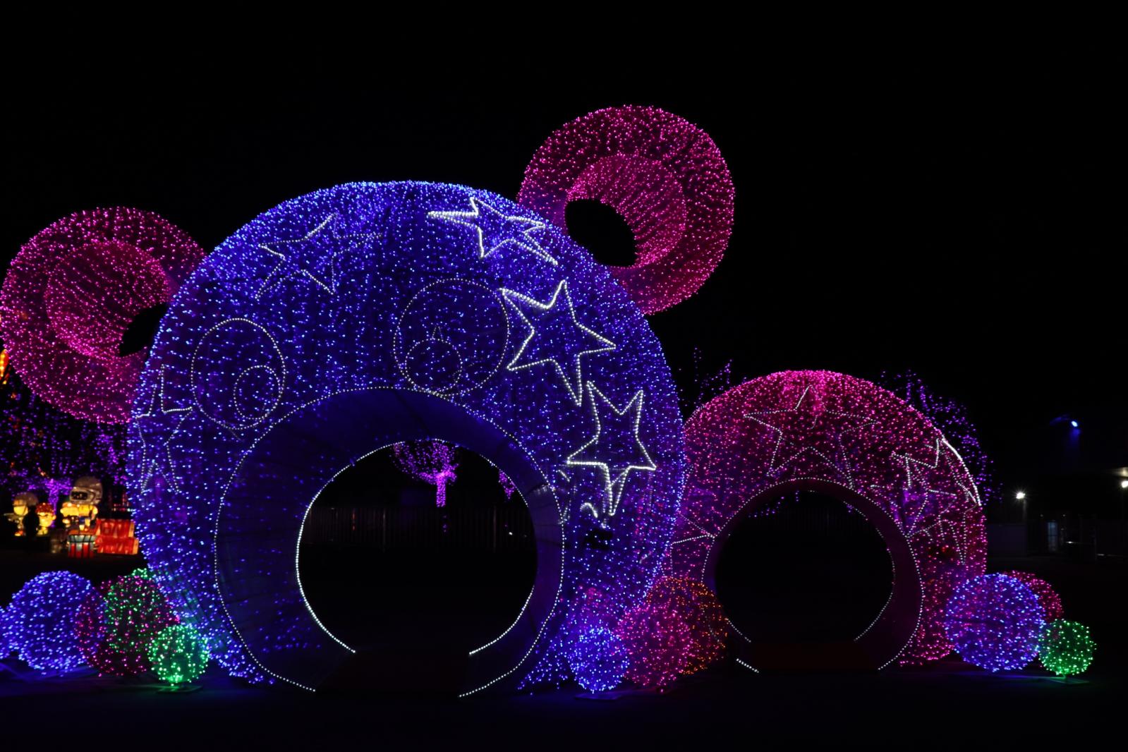 杭州江月园国际灯会