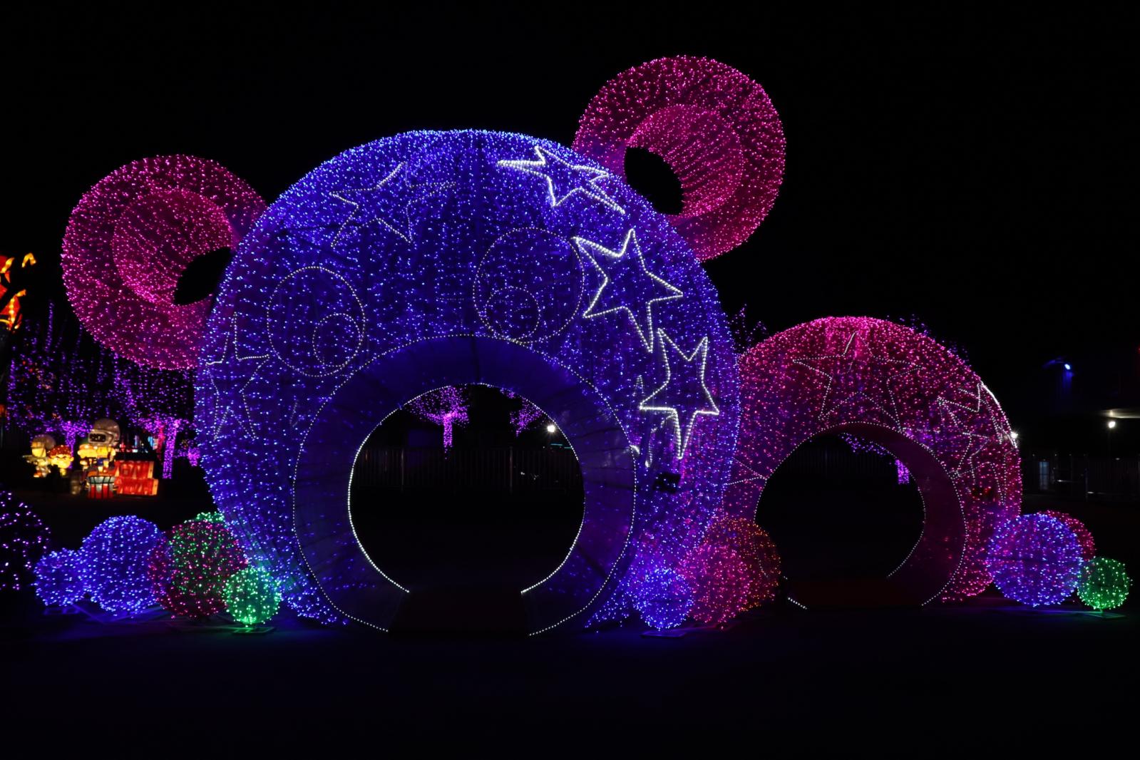 杭州江月园国际灯会