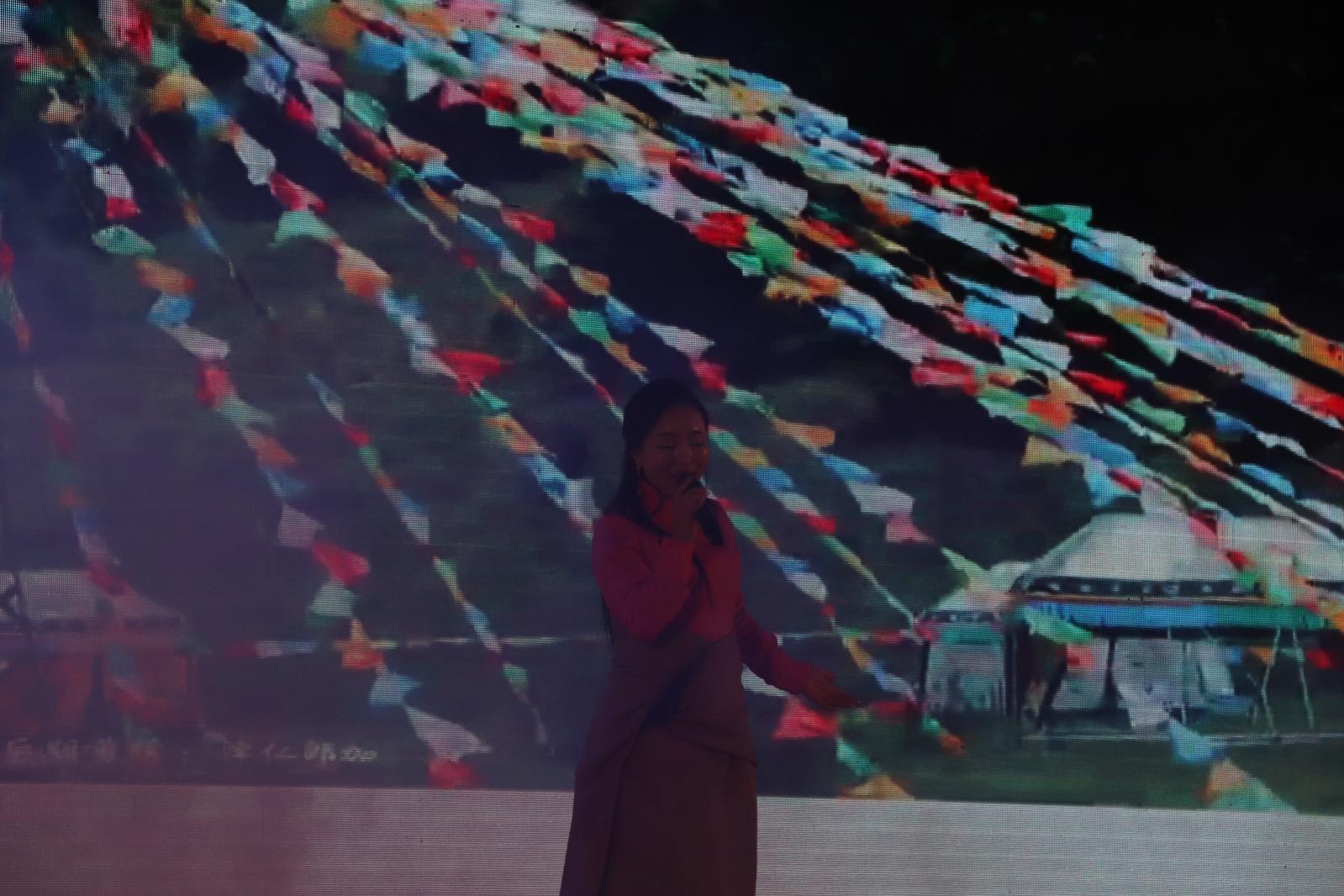 杭州江月园国际灯会