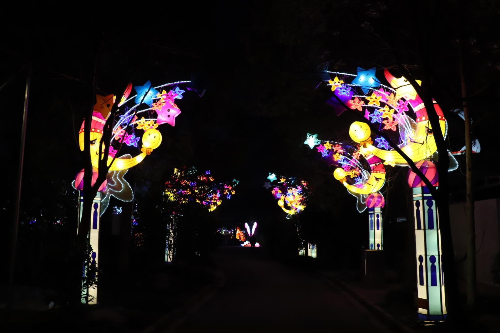 杭州江月园国际灯会