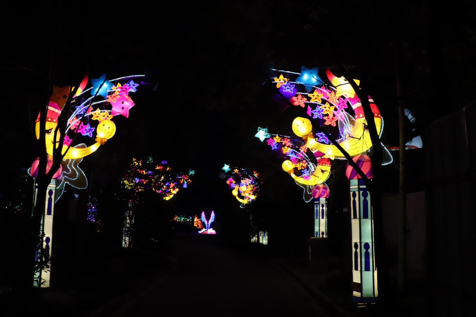 杭州江月园国际灯会