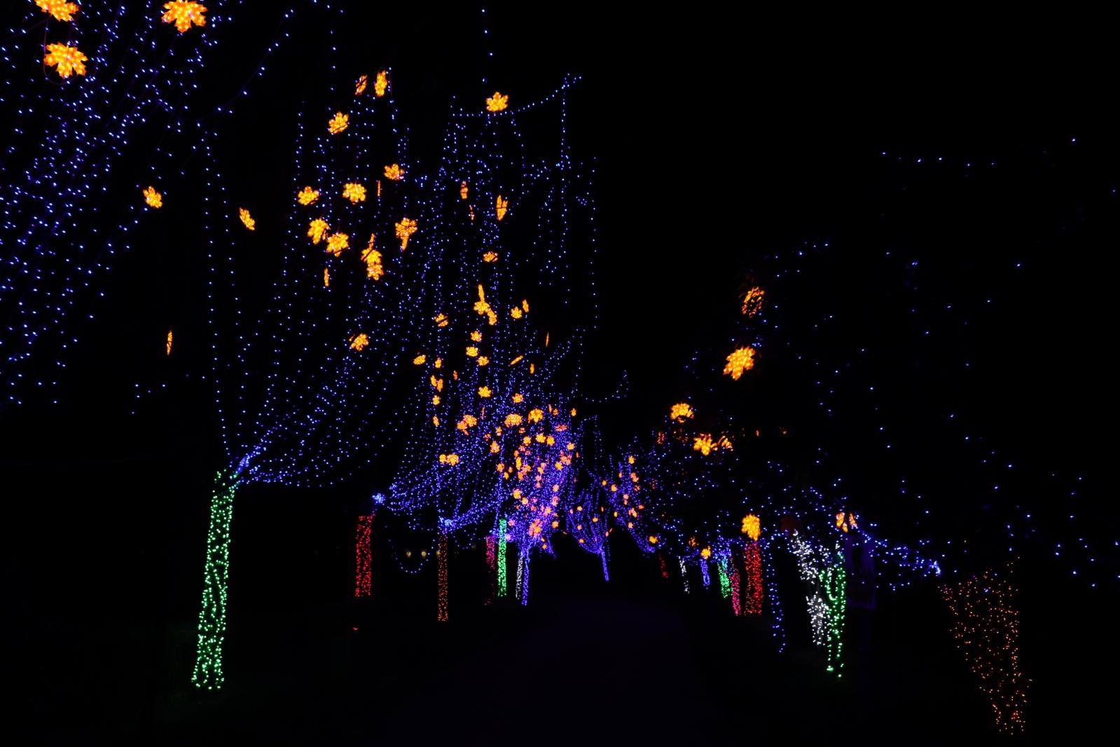 杭州江月园国际灯会