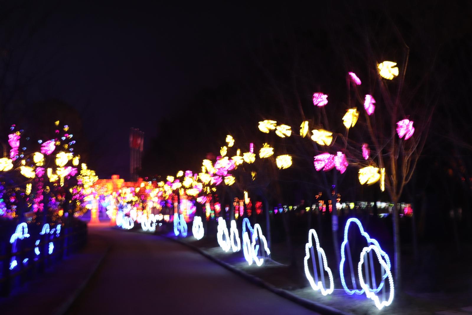 杭州江月园国际灯会