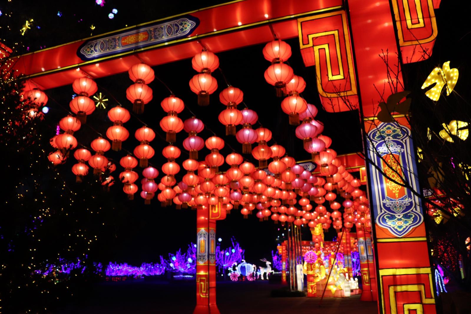 杭州江月园国际灯会