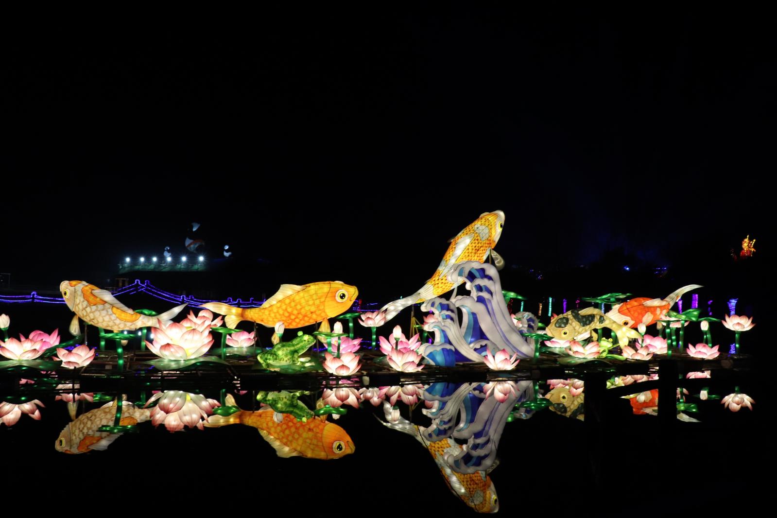 杭州江月园国际灯会