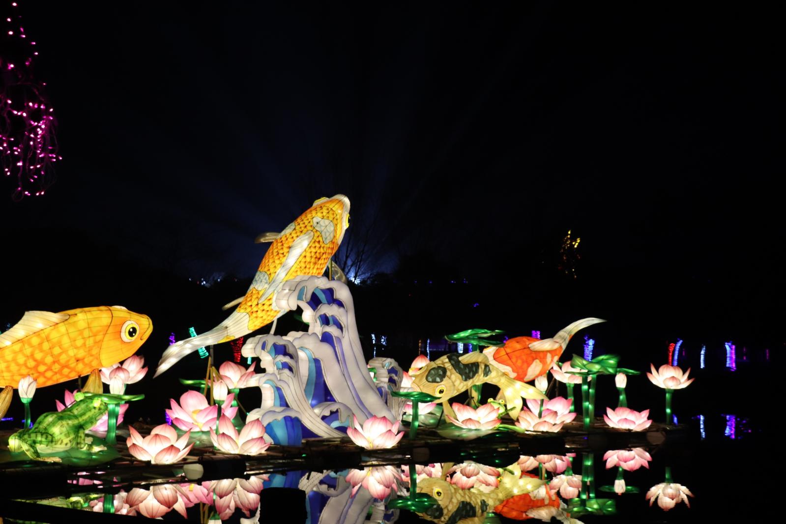 杭州江月园国际灯会