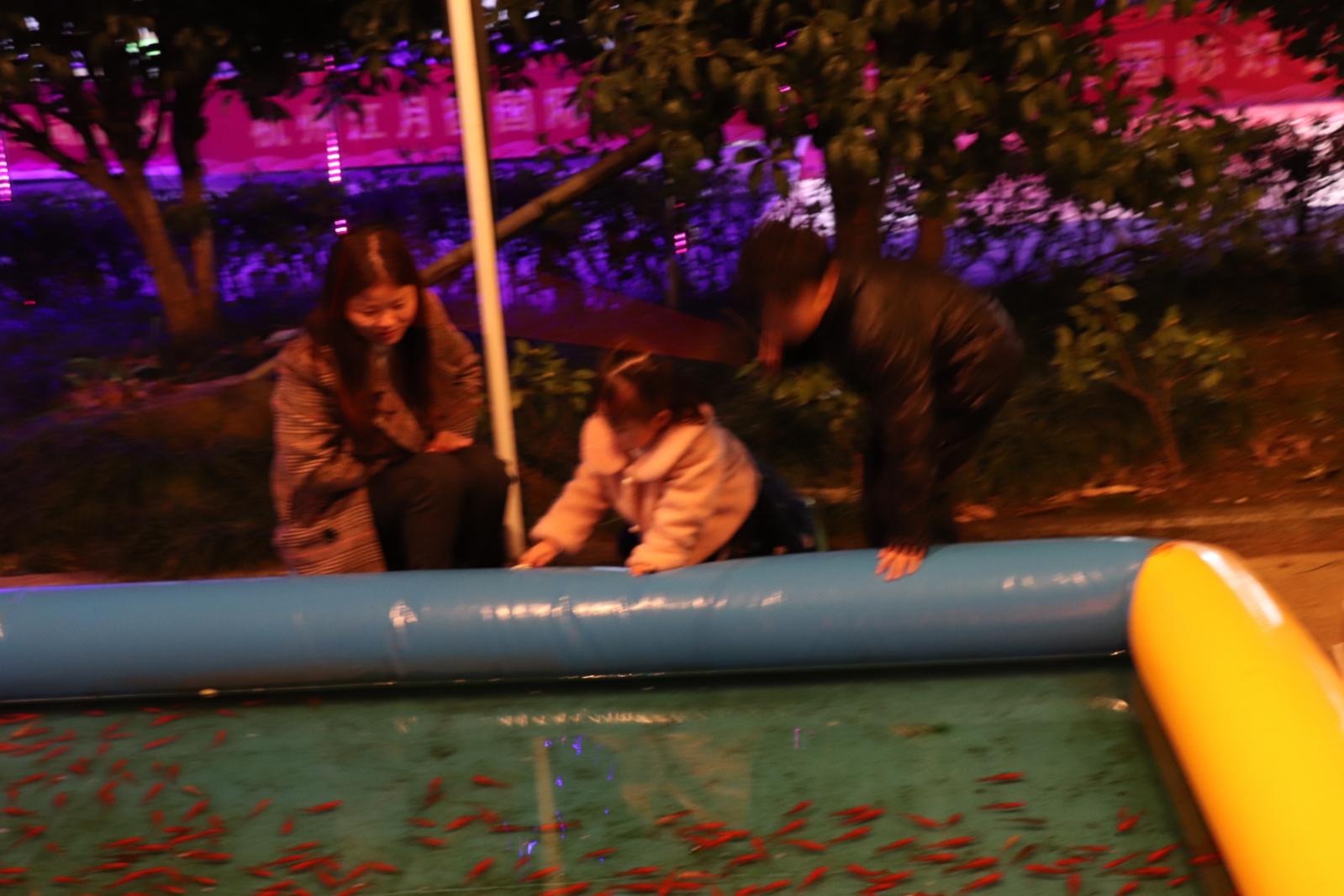 杭州江月园国际灯会